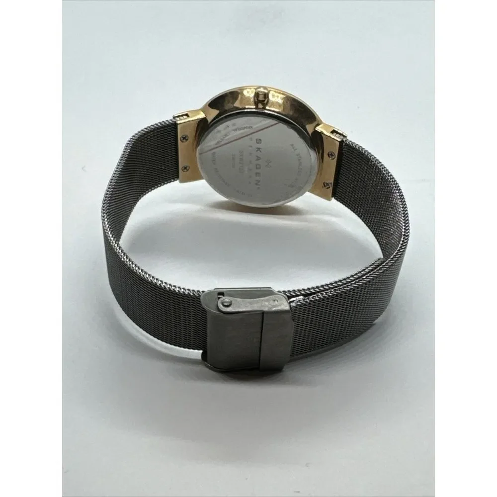 Skagen SKW2120 Women's Gray Stainless Steel Mesh Analog Dial Quartz Watch JNA916
